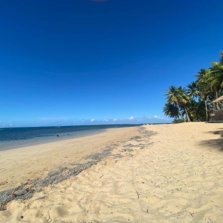 Las Terrenas Beachfront 2 Bedrooms Condo With Pool エクステリア 写真