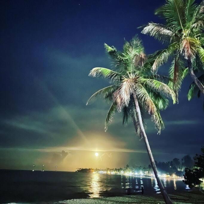 Las Terrenas Beachfront 2 Bedrooms Condo With Pool エクステリア 写真